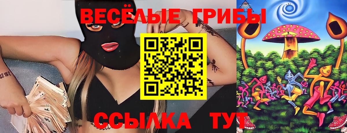 Псилоцибиновые грибы GOLDEN TEACHER Соликамск